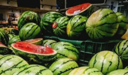 娱乐圈吃瓜买西瓜,娱乐圈瓜田乐享西瓜时光